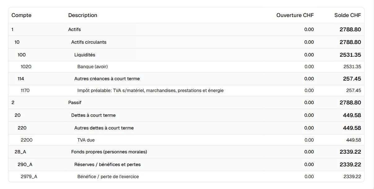 Bilancio - Aperçu du bilan comptable