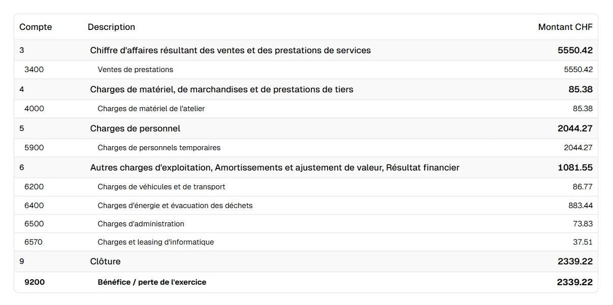Conto Economico - Pertes et Profits